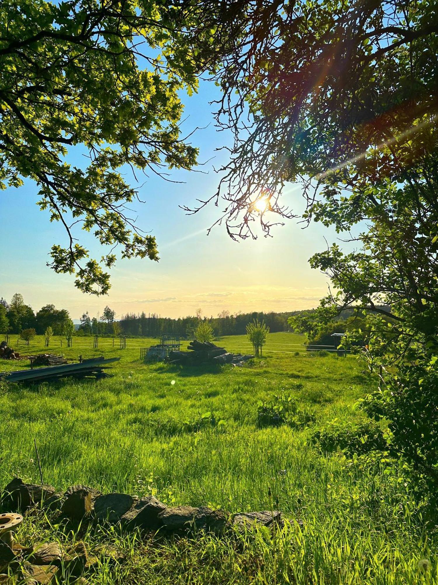 Ferienwohnung Westerwaldblick Grosszuegige Wohlfuehloase Mit Terrasse Oberelbert Buitenkant foto