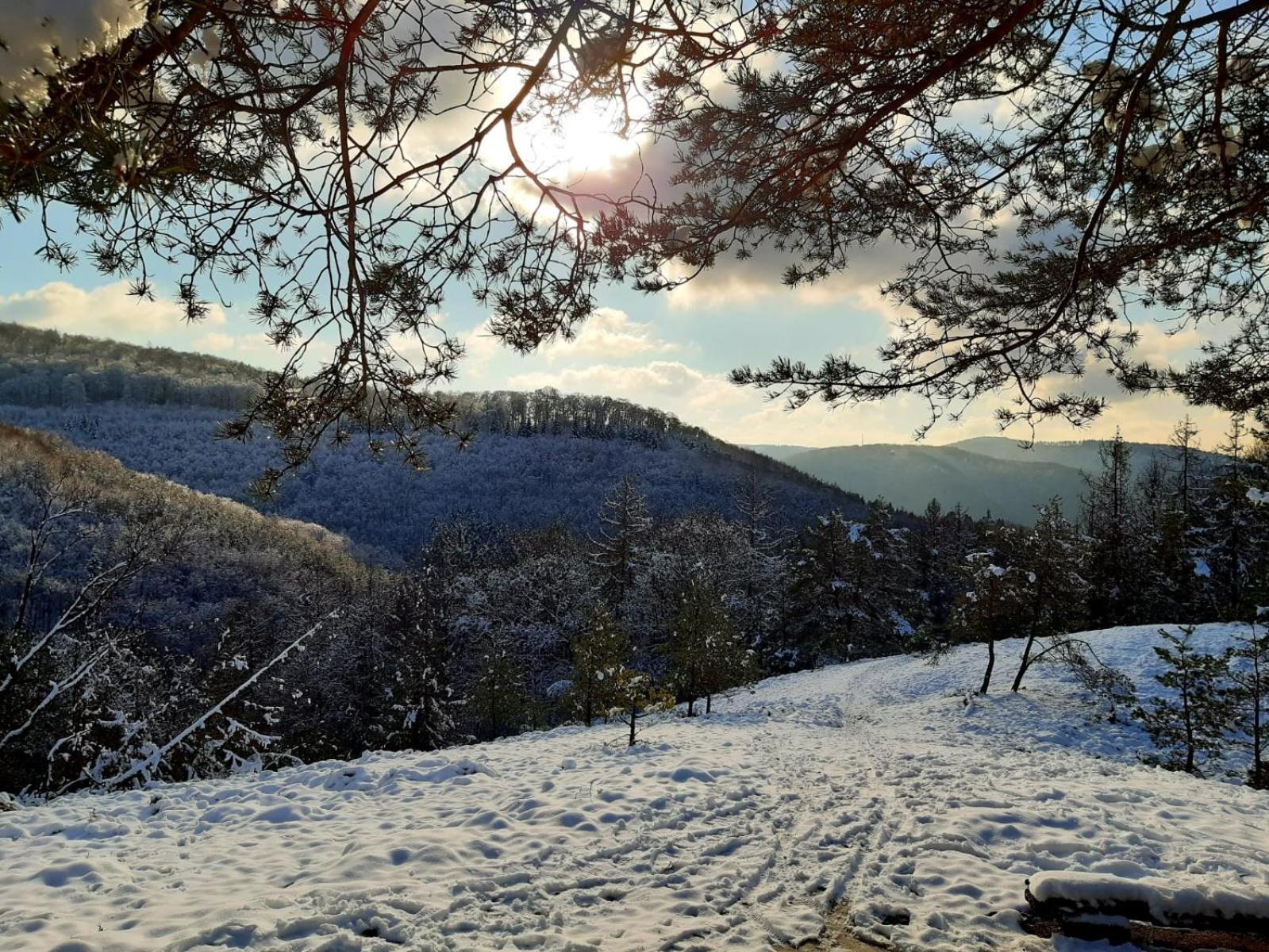 Ferienwohnung Westerwaldblick Grosszuegige Wohlfuehloase Mit Terrasse Oberelbert Buitenkant foto